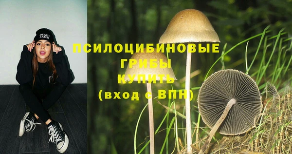 apvp Мегион